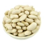 Sell quality butter bean/white kidney beans / white bean