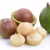 Import Shell Macadamia Nuts grown in Australia 25 kilogram bags from South Africa
