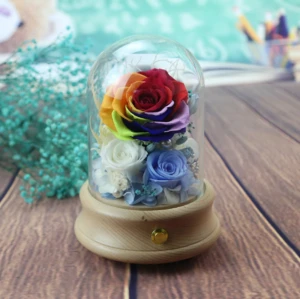 Shinning Music Box Eternal Natural Preserved Flower in Glass Dome