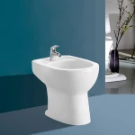 Smart Clean Vagina Combined Toilet and Bidet