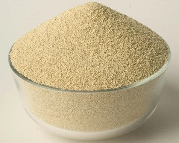 Top Grade Soybean Meal with High Protein