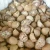 Import Split Betel Nuts and Whole Betel Nuts Supplier from Ukraine