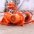 Import SS120 Construction machine lifting equipment and outdoor material lifter with CE from China
