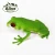 Import Stretch Frog, TPR plastic animals, squishy OEM OBM factory promotion from China