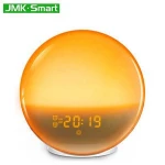 Sunrise Alarm Clock Wake Up Colorful Light Night Light with FM Radio