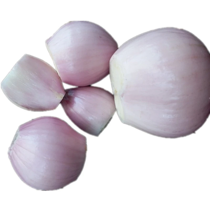 Supply 2020 New Crop fresh peeled onions fresh red onion low price