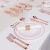 Import Tableware Sets PS 10inch Rose Gold Plastic Plates Gold Lace Design Party Gold Disposable Plate from China