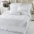Import Taitang Hotel Linen Literie King Size White Stripe 100 Cotton Duvet Cover Set from China