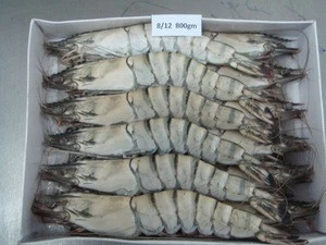 Tasty Good Quality Frozen Tiger Shrimp