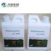The factory produces high quality and low price animal health veterinary medicine 2.5 1000ml adbenzidazole suspension for sheep