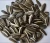 Import the top quality of new crop 2020  sunflower seeds type no.601 from China