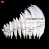 TOP Supplier ZPDECOR Factory Wholesale 70-75 cm White Silver Pheasant Tail Feather for Carnival Costumes