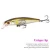 TSURINOYA DW61 80mm 6.0g Floating Minnow Fishing Lure Artificial Bait Culter Bait Laser Coating Bass Lure