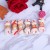Import Two-Color Cowhide Bone Wrapped Chicken Teeth Clean Pet Snack Hude010 from China