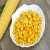 Import Ukrainian Dried Yellow Corn for Animals from Ukraine