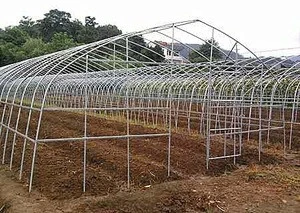 UV Resistant Agricultural Greenhouse Design Plastic Film For Farm Use