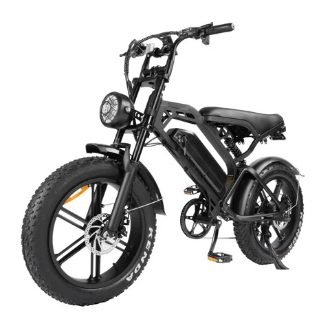 Buy V20 Electric Bike 20 Inch Fat Tire Off Road Ebike 1000w 48v 15ah ...