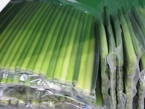 Vacuum Packing of Fresh Garlic Stem Vegetables