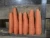 Import vegetable carrot varieties fresh carrot export from China