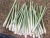 Import Vietnam Natural green color fresh Lemongrass / citronella  for spice and herbs. from Vietnam