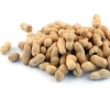 washed Peanuts in shell price in china 7/9, 9/11,11/13