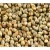 Import White millet seed green millet seed indian millet seeds bajra seed from India