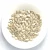 Import Quality Raw Dried White Pumpkin Seeds 11cm-13cm Long in Best Pricing from United Kingdom