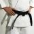 Import Wholesale Best Quality Martial Arts Wear Karate Suits, Karate Uniform For Adults And Children from Pakistan