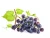 Import Fresh Grape Fruit Juice, Frozen Dried Grape Fruit Powder in Wholesale Bulk from China