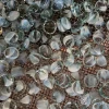 Wholesale Great price New design clear glass ball transparent glass marble ball 10-40 mm clear colored glass crystal marble