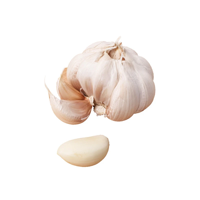 Wholesale Low Price Hot Sale High Quality Pure Normal White Fresh Garlic Bawang Putih