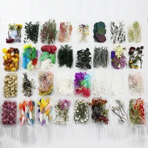 wholesale mixed pack pressed dried  flowers and dry plants petal for resin art candles jewelry craft rings