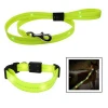 Wholesale Pet Supplies LED Dog collar Leash for dog night safety walking