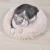 Import Wholesale Plush Pink Grey White Pet Cushion Round Cat Bed Dogs Pet Luxury Pet Sofa Bed from China