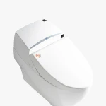Wholesale Washdown Sanitary Ware Suite One Piece smart Toilet And Bidet