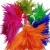 Import Wholesale Wedding Decoration Coque Cock Saddle Cheap White Natural Rooster Tail Chicken Feathers For Craft Extension from China