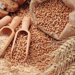 Wholesale Wheat Grain for Animal Feed Human Consumption