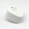 wifi mini outdoor socket smart plug double outlet Affordable price