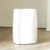 Import XIAOMI MIJIA NEW WIDETECH WDH318EFW1 Electric Air Dehumidifier for home Multifunction Dryer heat dehydrator moisture absorber from China