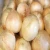 Import Yellow Onion :wholesale yellow fresh onion in carton from Germany
