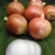 Import Yellow Onions For sale from South Africa