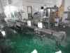 YGF-2W Automatic glass cleaners Weighing Filling production line Machine