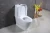 YIDA Promotion Foshan washdown sanitary ware one piece toilet