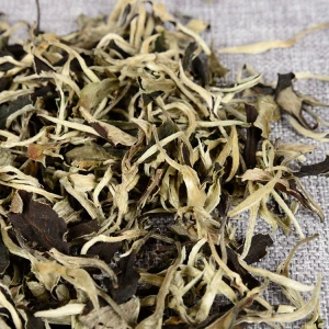Yunnan Supplier Raw Pu-erh Slimming Puer Loose Leaf Tea Yueguangbai TEA