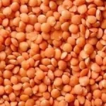 RED WHOLE LENTILS