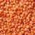 Import RED WHOLE LENTILS from South Africa