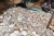 Import Coconut Copra from Indonesia