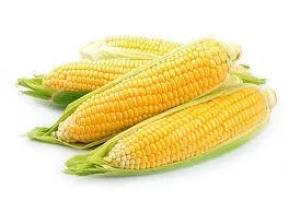 NEW 2019 Soft Offer - Yellow Corn #2 GMO - Monthly delivery Up to 100,000 Mt p/month