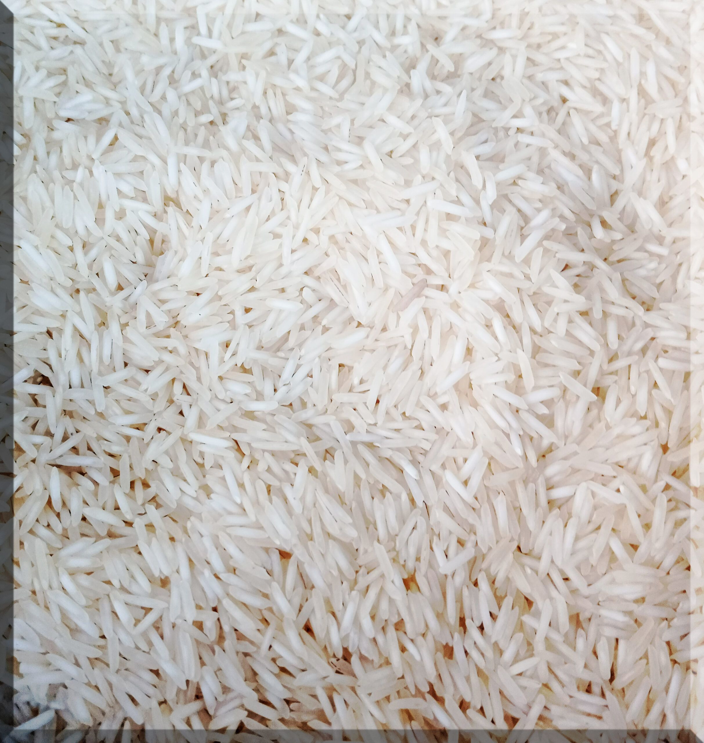Buy Basmati Rice from Ahmed Traders, Pakistan | Tradewheel.com