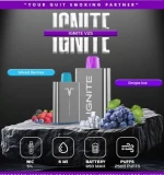 Ignite Disposable Vapes